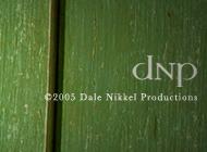 DNP Logo